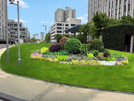 草坪花境景观设计