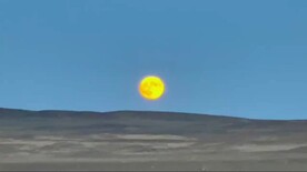 额济纳旗胡杨林日出日落实拍