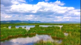 甘肃甘南花湖视频宣传