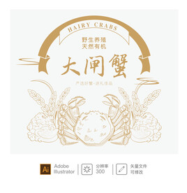 大闸蟹插画