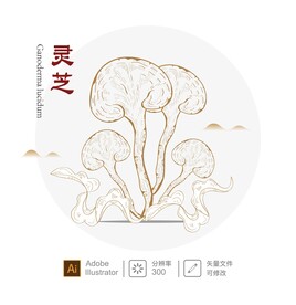 灵芝插画