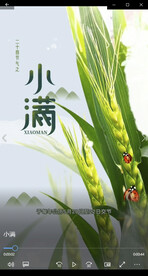 二十四节庆之小满讲解视频