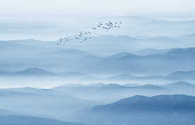 新中式水墨山水画壁画壁纸