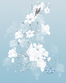 白玉兰  定位花