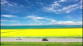 青海湖婺源油菜花海