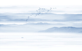 意境山水画背景墙