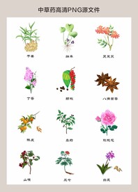 中药材高清png图片