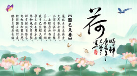 菏花电视背景墙