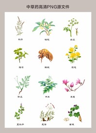 中药材高清png图片