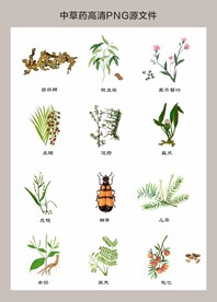 中药材高清png图片