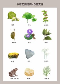 中药材高清png图片