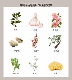 中药材高清png图片