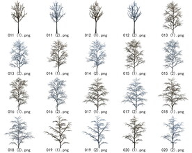 免扣高清景观树枯树雪松素材