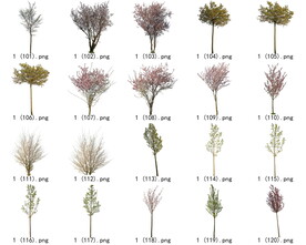 免扣高清景观树开花乔木素材