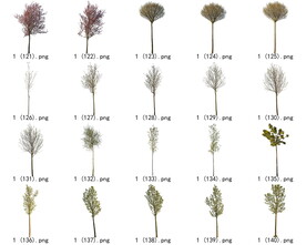 免扣高清景观树开花乔木素材