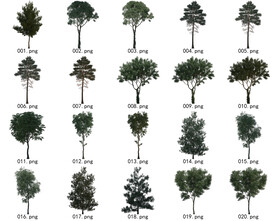 免扣高清景观树国外植物素材