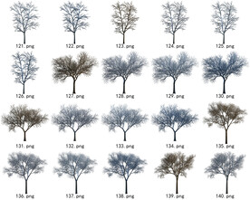 免扣高清景观树常用乔木贴图素材