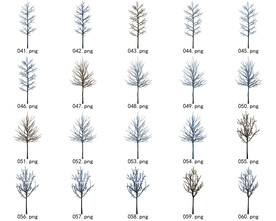 免扣高清景观树常用乔木贴图素材