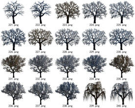 免扣高清景观树常用乔木贴图素材