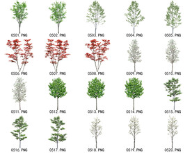 免扣高清景观树常用乔木贴图素材
