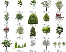 免扣高清景观树常用乔木贴图素材