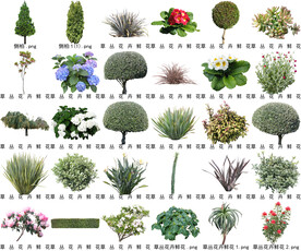 高清树木花卉绿植免抠贴图素材 