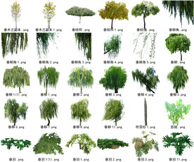 高清树木花卉绿植免抠贴图素材 