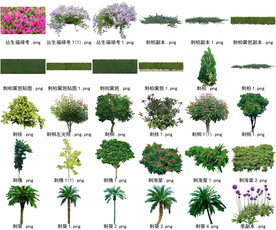 高清树木花卉绿植免抠贴图素材 