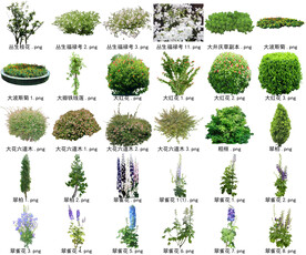 高清树木花卉绿植免抠贴图素材 