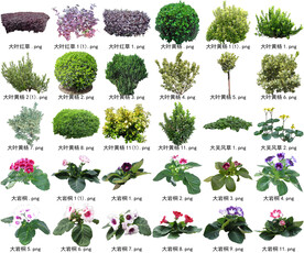 高清树木花卉绿植免抠贴图素材 