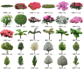 高清树木花卉绿植免抠贴图素材 