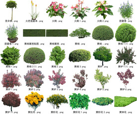高清树木花卉绿植免抠贴图素材 