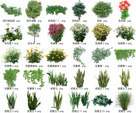 高清树木花卉绿植免抠贴图素材 