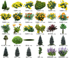 高清树木花卉绿植免抠贴图素材 