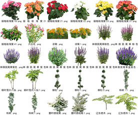 高清树木花卉绿植免抠贴图素材 