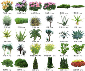 高清树木花卉绿植免抠贴图素材 