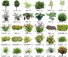 高清树木花卉绿植免抠贴图素材 