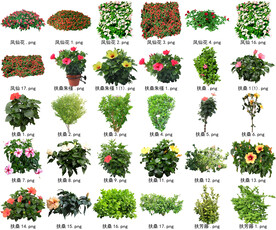 高清树木花卉绿植免抠贴图素材 