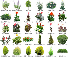 高清树木花卉绿植免抠贴图素材 
