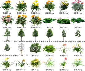 高清树木花卉绿植免抠贴图素材 