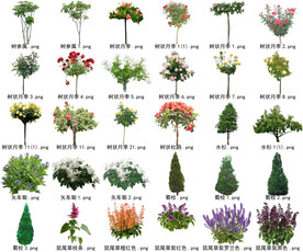 高清树木花卉绿植免抠贴图素材 
