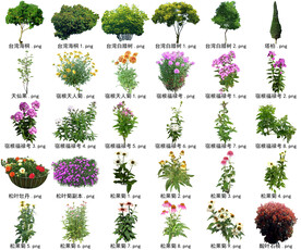高清树木花卉绿植免抠贴图素材 