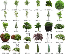 高清树木花卉绿植免抠贴图素材 