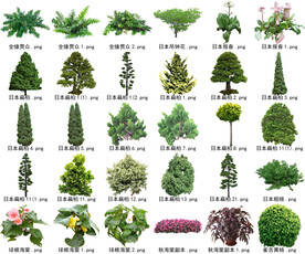高清树木花卉绿植免抠贴图素材 