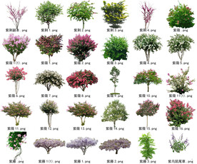 高清树木花卉绿植免抠贴图素材 