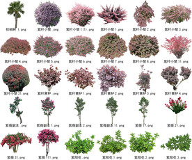 高清树木花卉绿植免抠贴图素材 