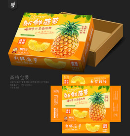 菠萝包装