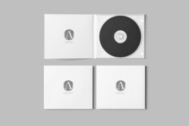 黑胶唱片样机