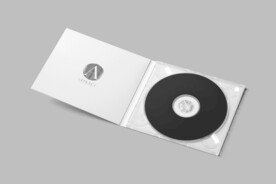 黑胶唱片样机