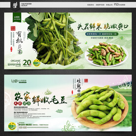 毛豆